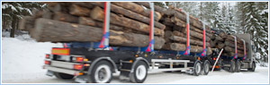 Camioane, automotive transportul de marfă, marfuri pentru trucking, asociate de transport pentru transportul de mărfuri, livrare mărfuri.